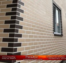 Paradyz-Natural-Beige-2