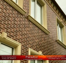 paradyz-aquarius-brown-spb-6